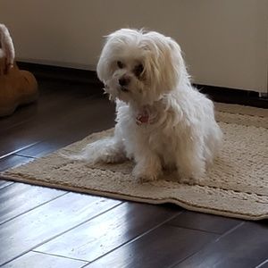 Meet your Posher, Kristy